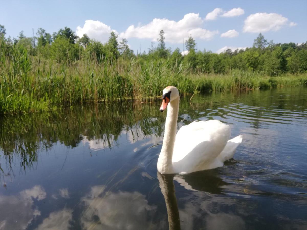 Apartamenty Na Szlaku Гіжицько Екстер'єр фото
